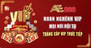 hoan nghênh vip hội tụ